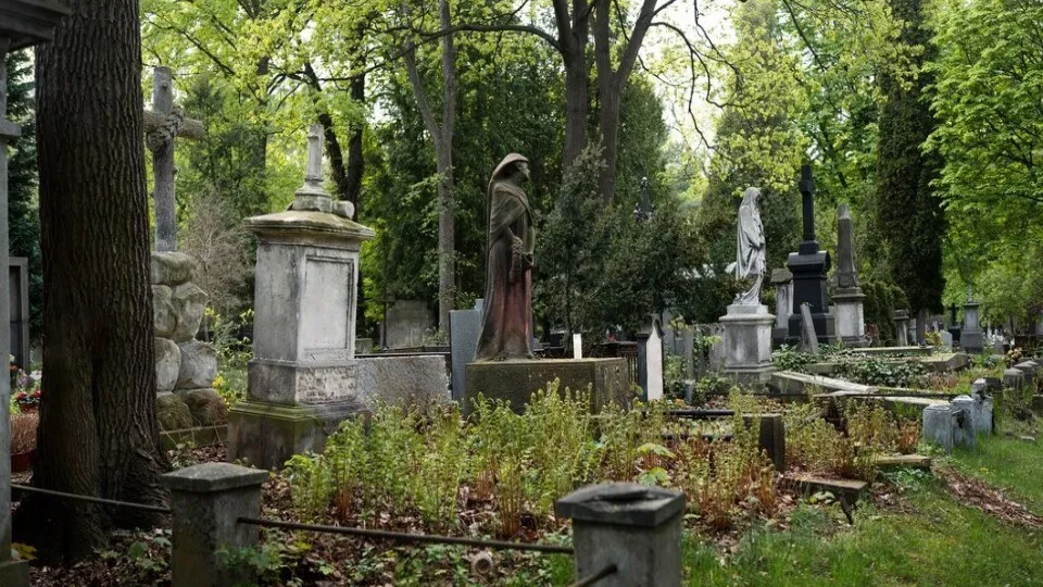 Фото: freepik.com