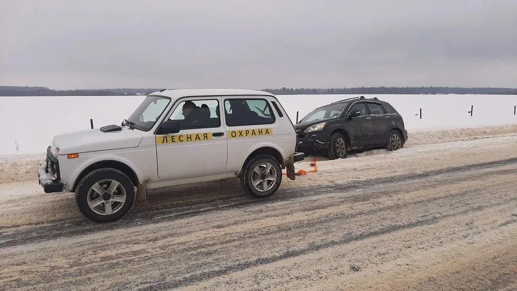 Волоколамское лесничество