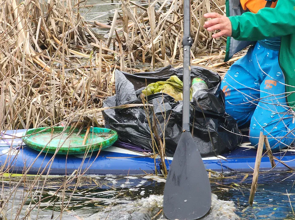 Автор фото: Светлана Плотникова