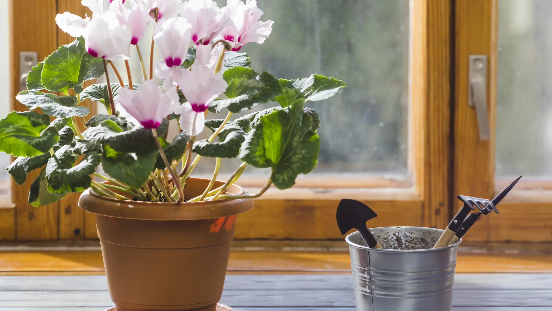 Фото: freepik.com