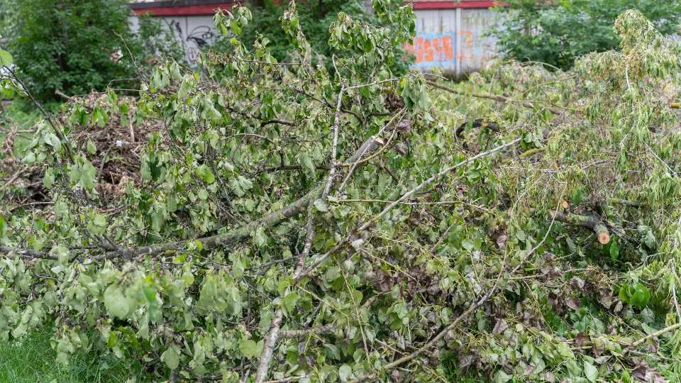 Фото: пресс-служба администрации г.о. Жуковский