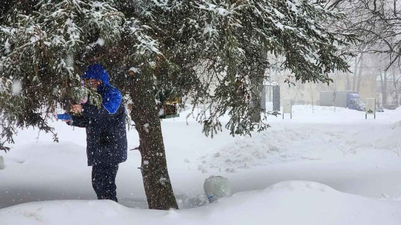 REGIONS/Мария Шигорева