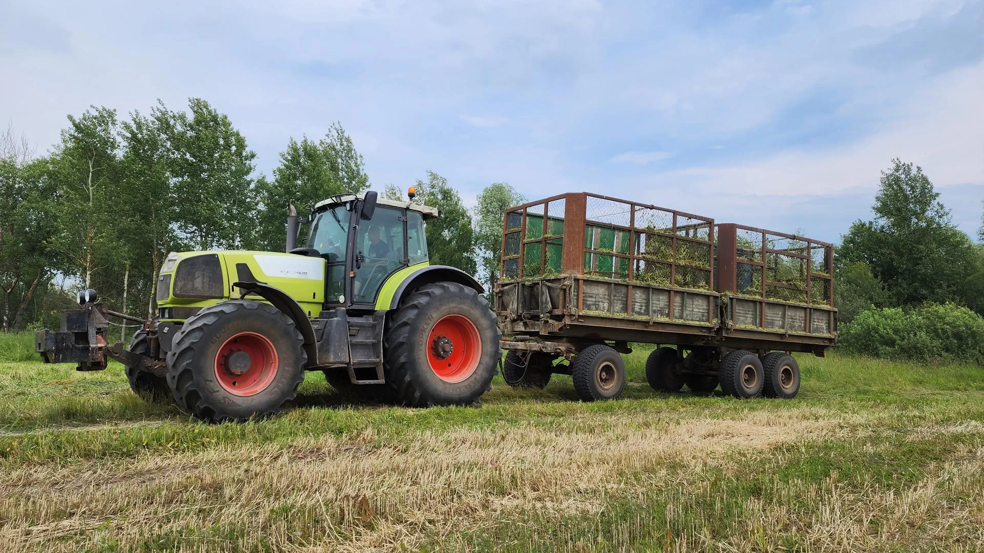 Фото: Светлана Плотникова