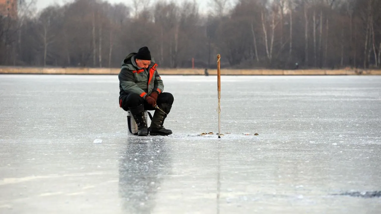 медиасток.рф