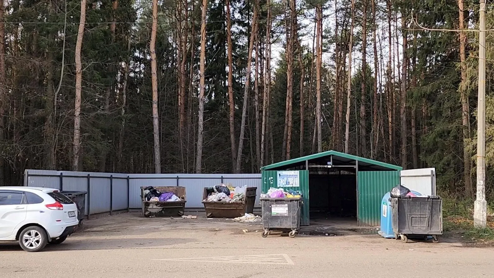 Сморкалов Никита