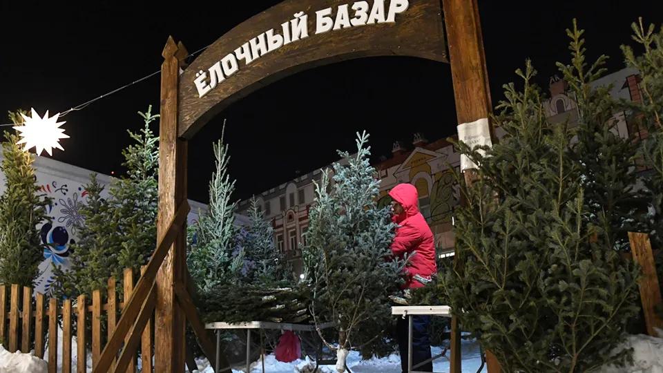 Фото: РИА Новости/Виталий Аньков