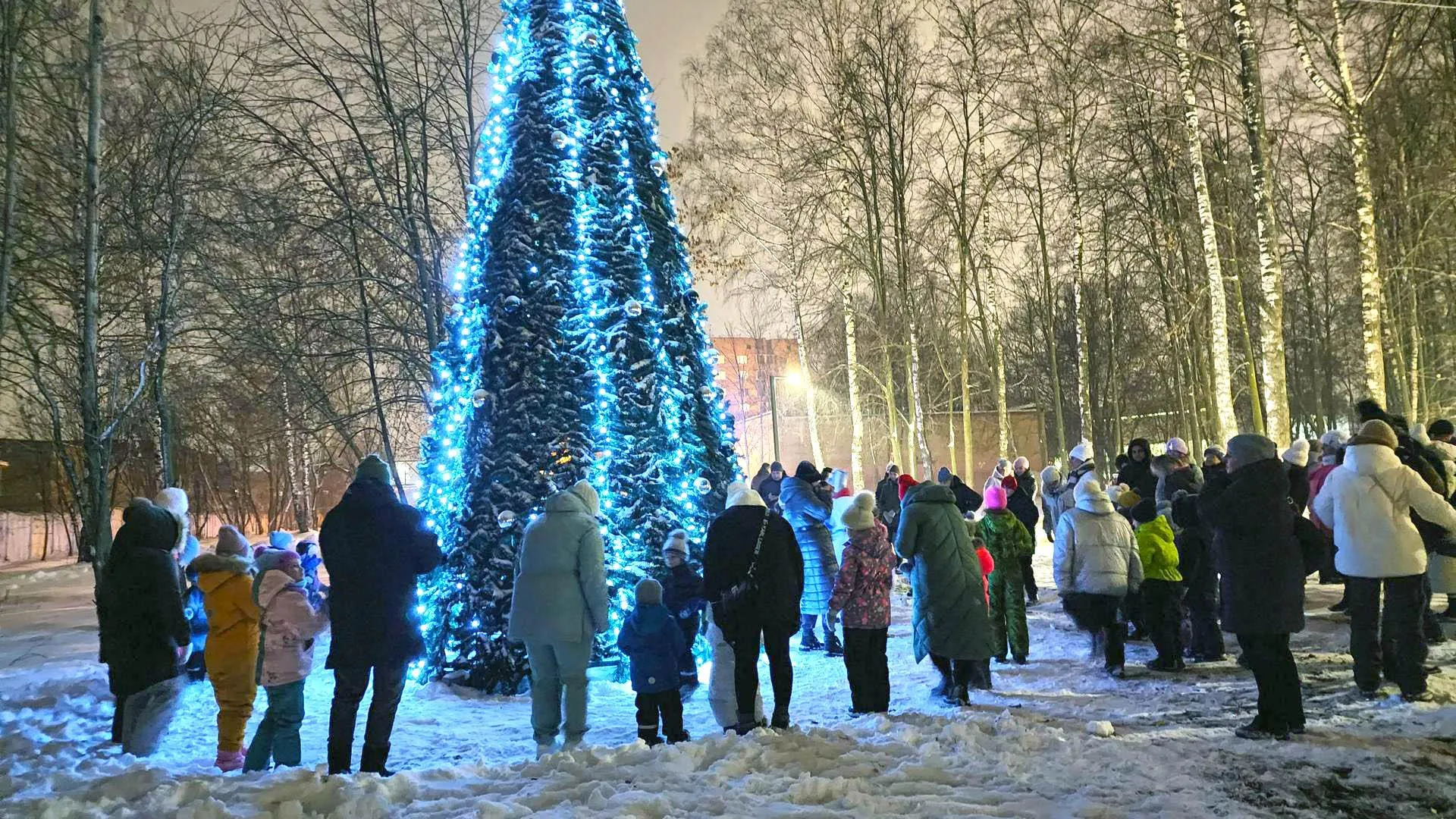 Фото: Валерия Тингаева