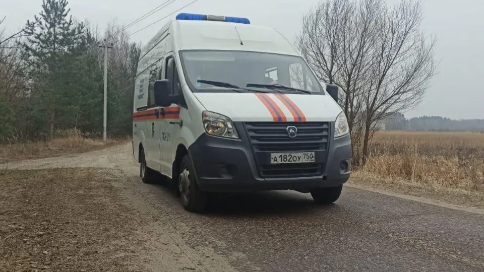 Фото: ГКУ МО «Мособлпожспас»