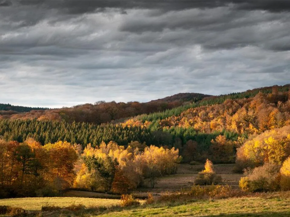 «Красивые кадры обеспечены»: блогер рассказала, почему лучше отправляться в путешествия осенью