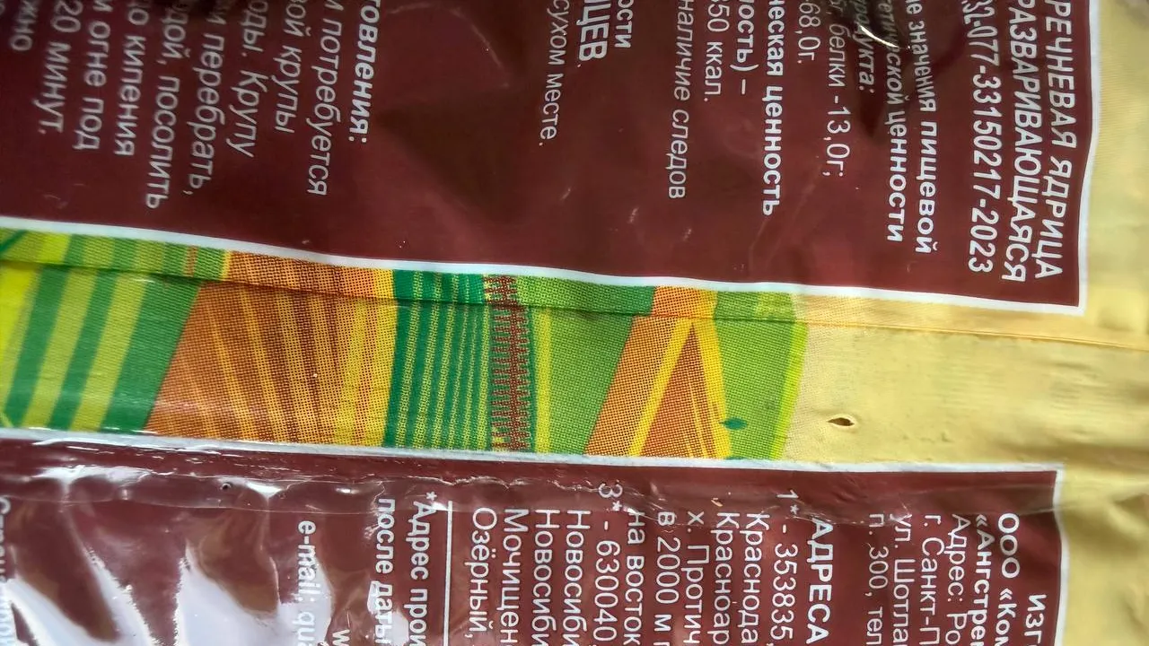 REGIONS/Дарья Назарова