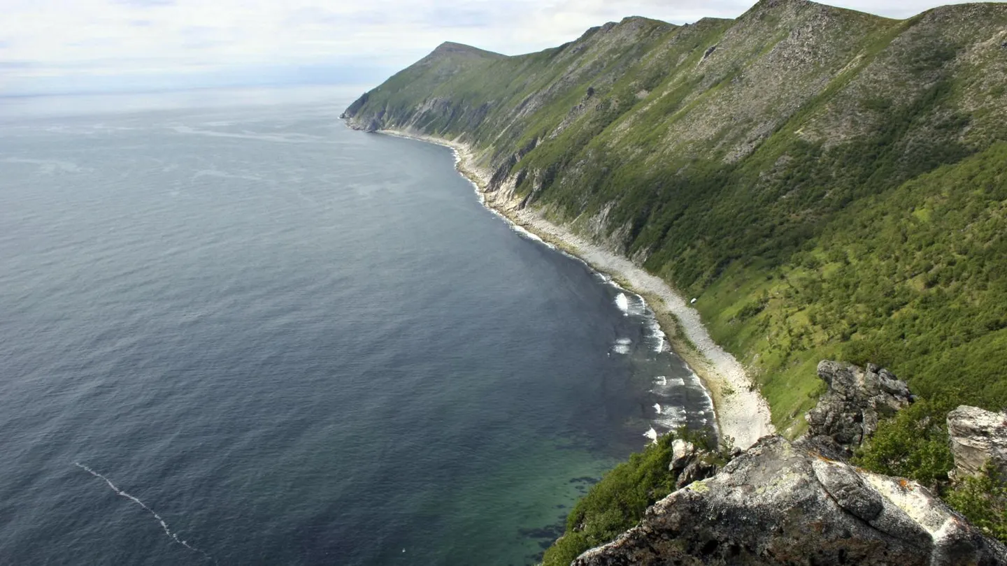 голые дети на море Россиянин выжил после 67 дней дрейфа в Охотском море: все, что известно,  рассказ родственников | 360.ru