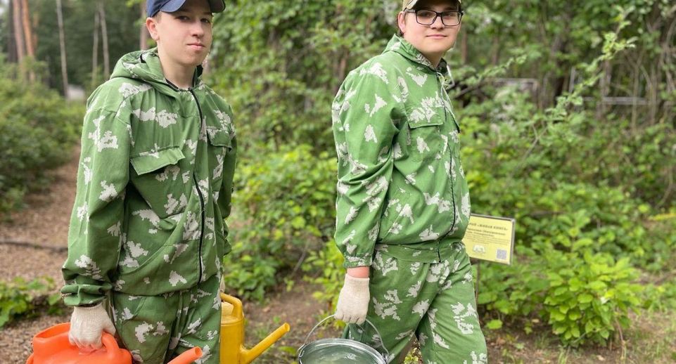 Более 20 тысяч подростков трудоустроились во время каникул в Подмосковье