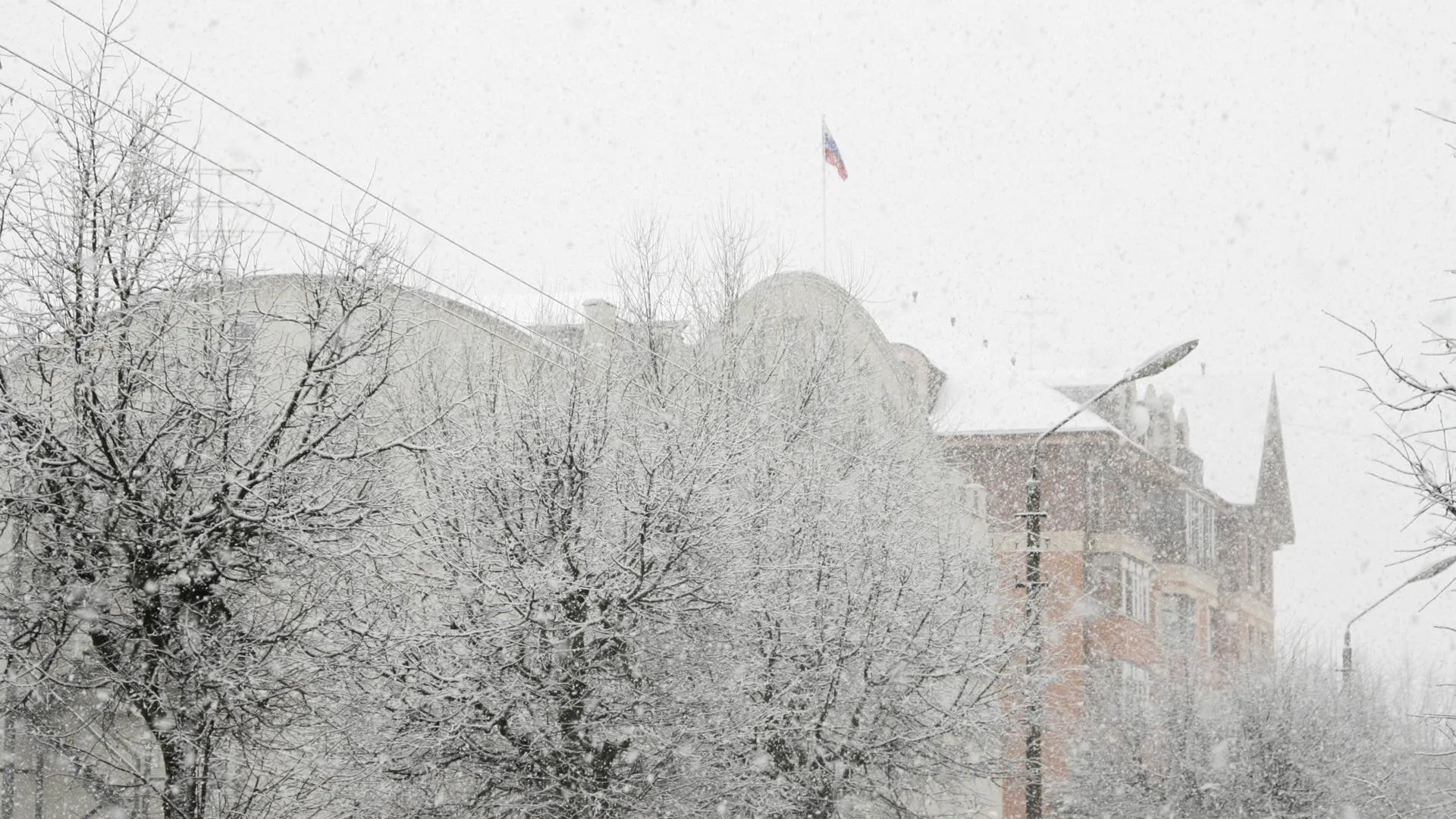 Фото: Ангелина Максимова