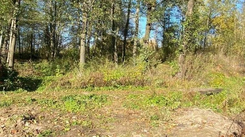 В Коломне оперативно ликвидировали свалку в водоохранной зоне