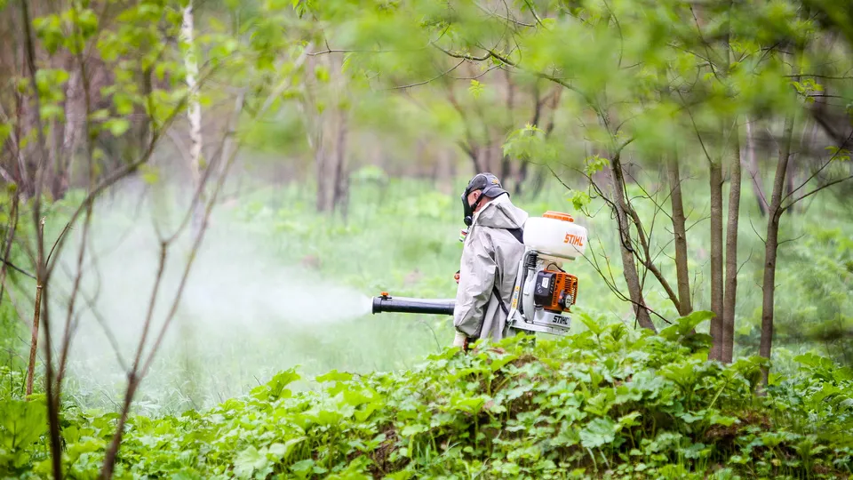 Фото: пресс-служба Администрации г.о. Кашира