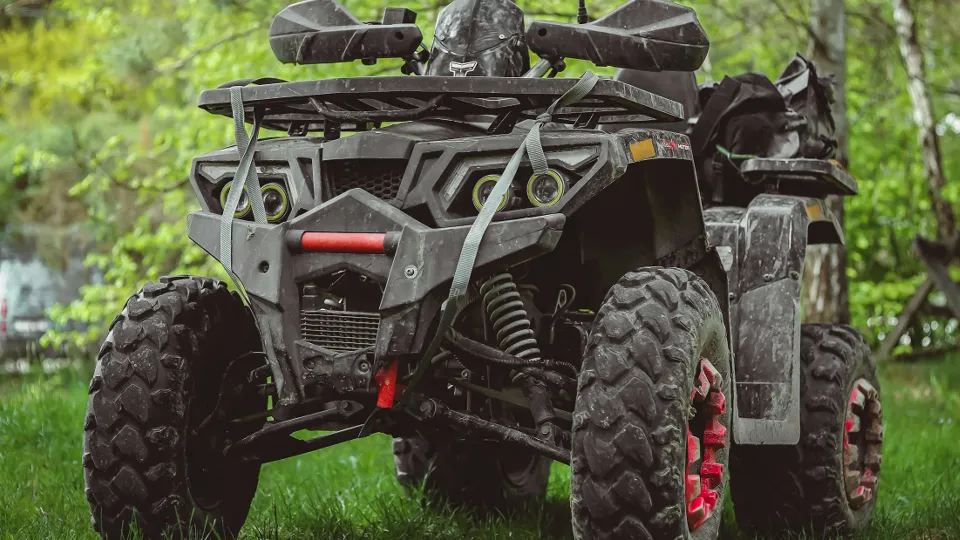 Фото: unsplash.com