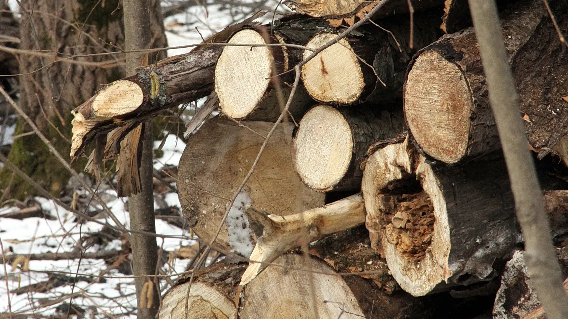 Медиасток.рф