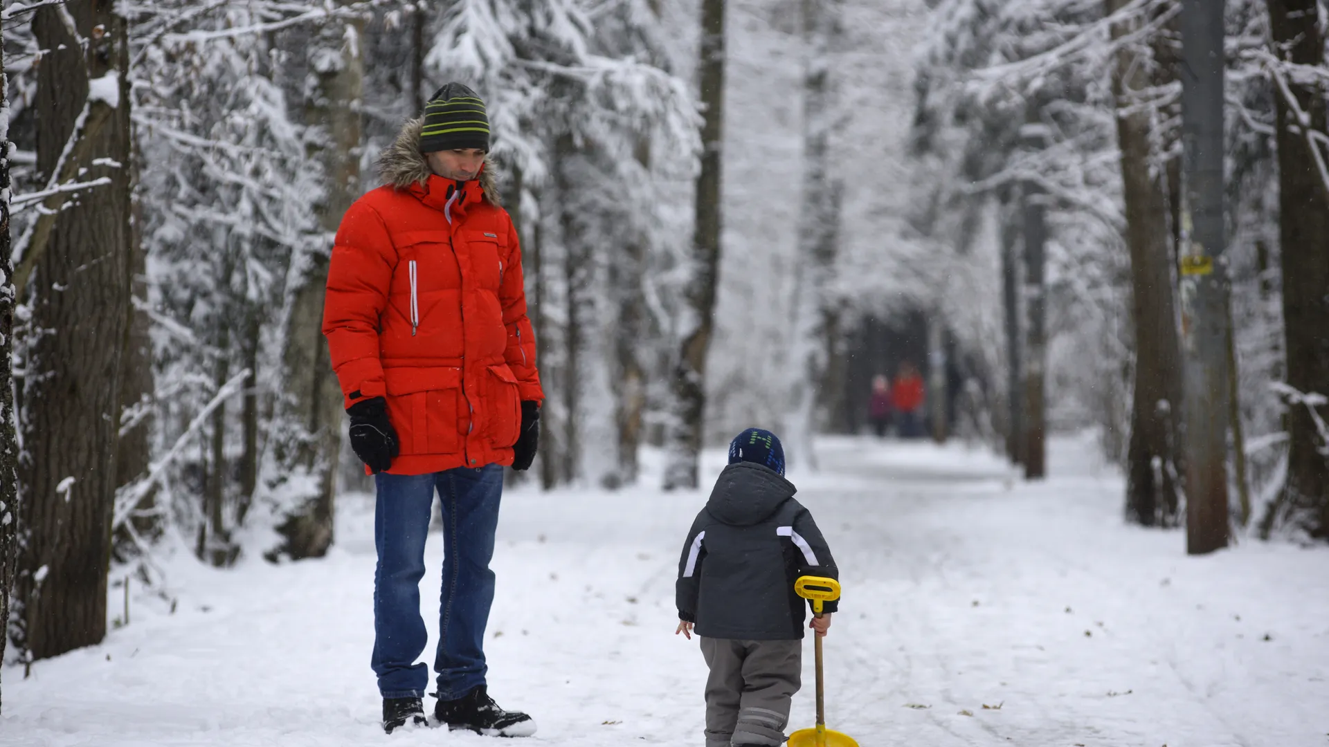 медиасток.рф