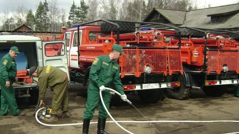 Пресс-служба Дмитрия Пестова