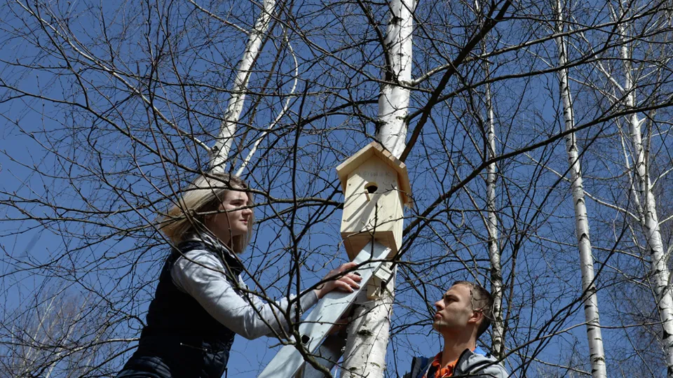 Фото: РИА Новости/Сергей Мамонтов