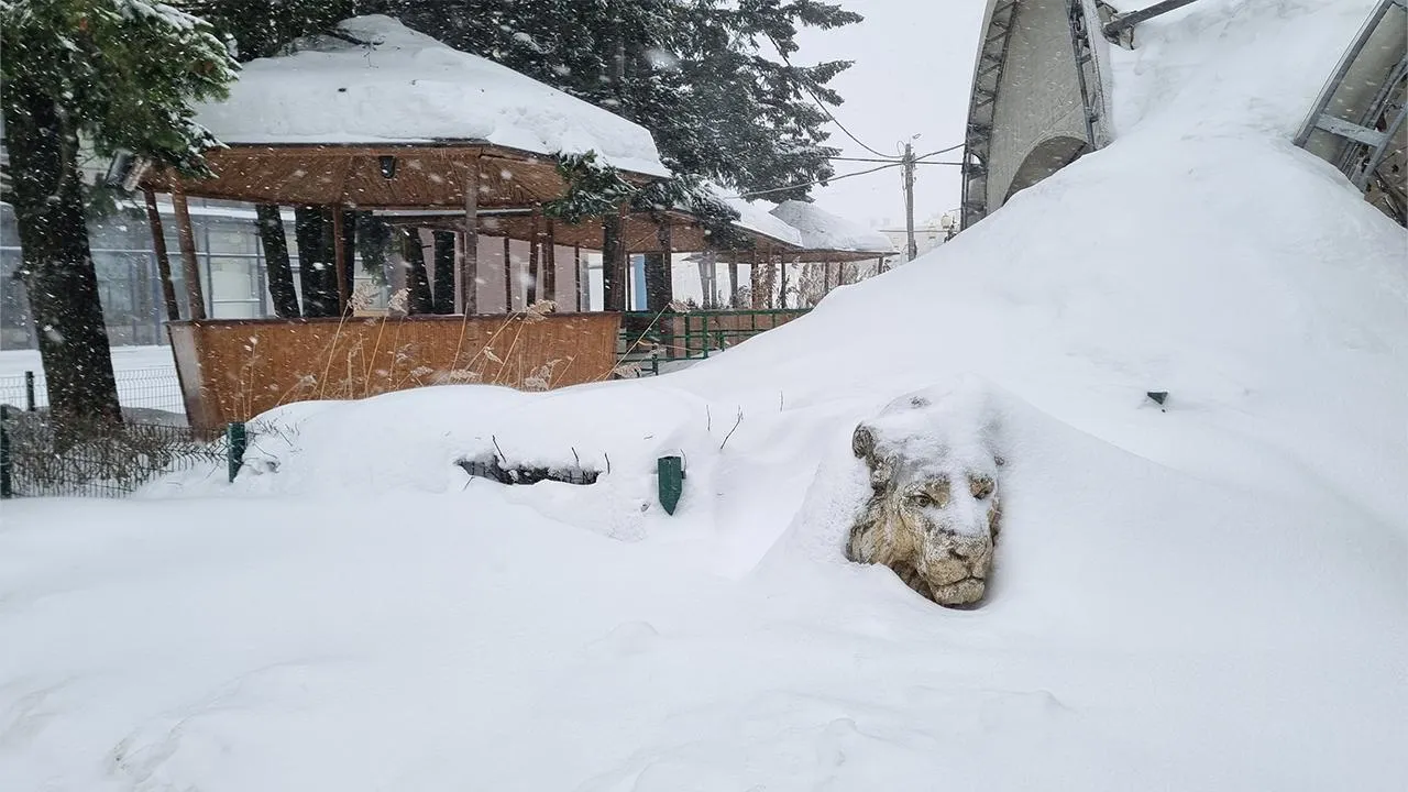 Андрей Башинский