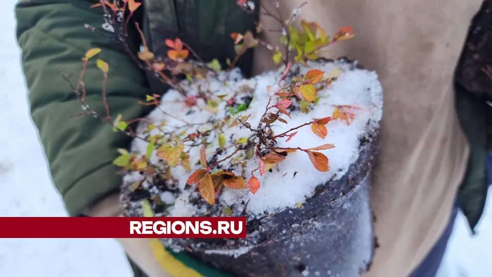 Фото: Дмитрий Беденко