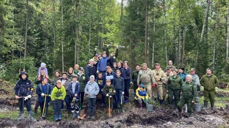 Акция «Наш лес. Посади свое дерево» стартовала в Подмосковье