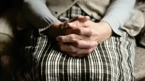 Источник: Pixabay