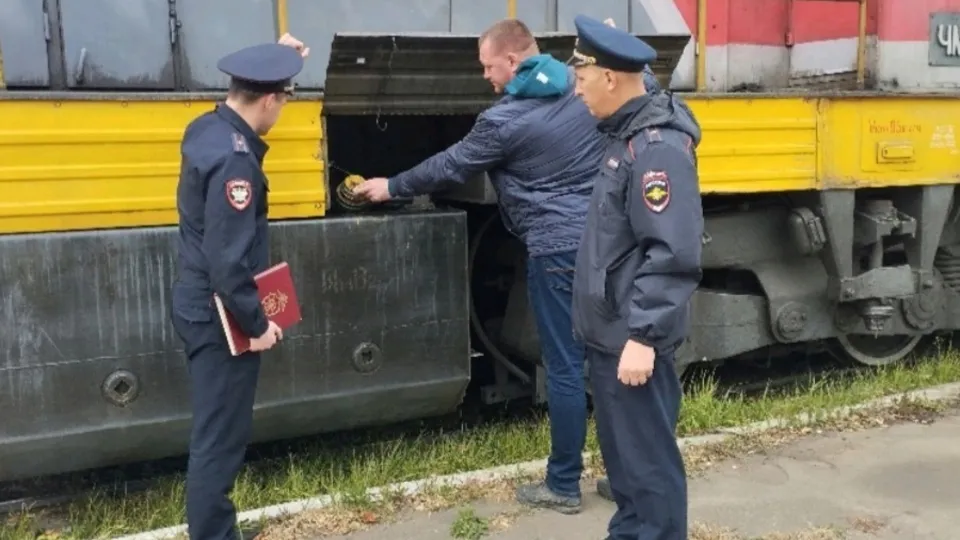 Фото: ЛОП на станции Кашира