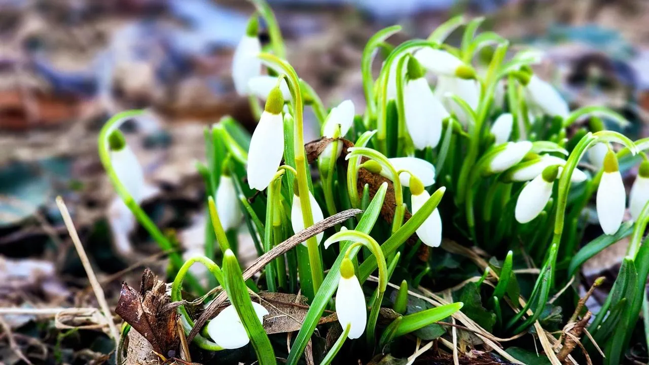 REGIONS/Мария Панина