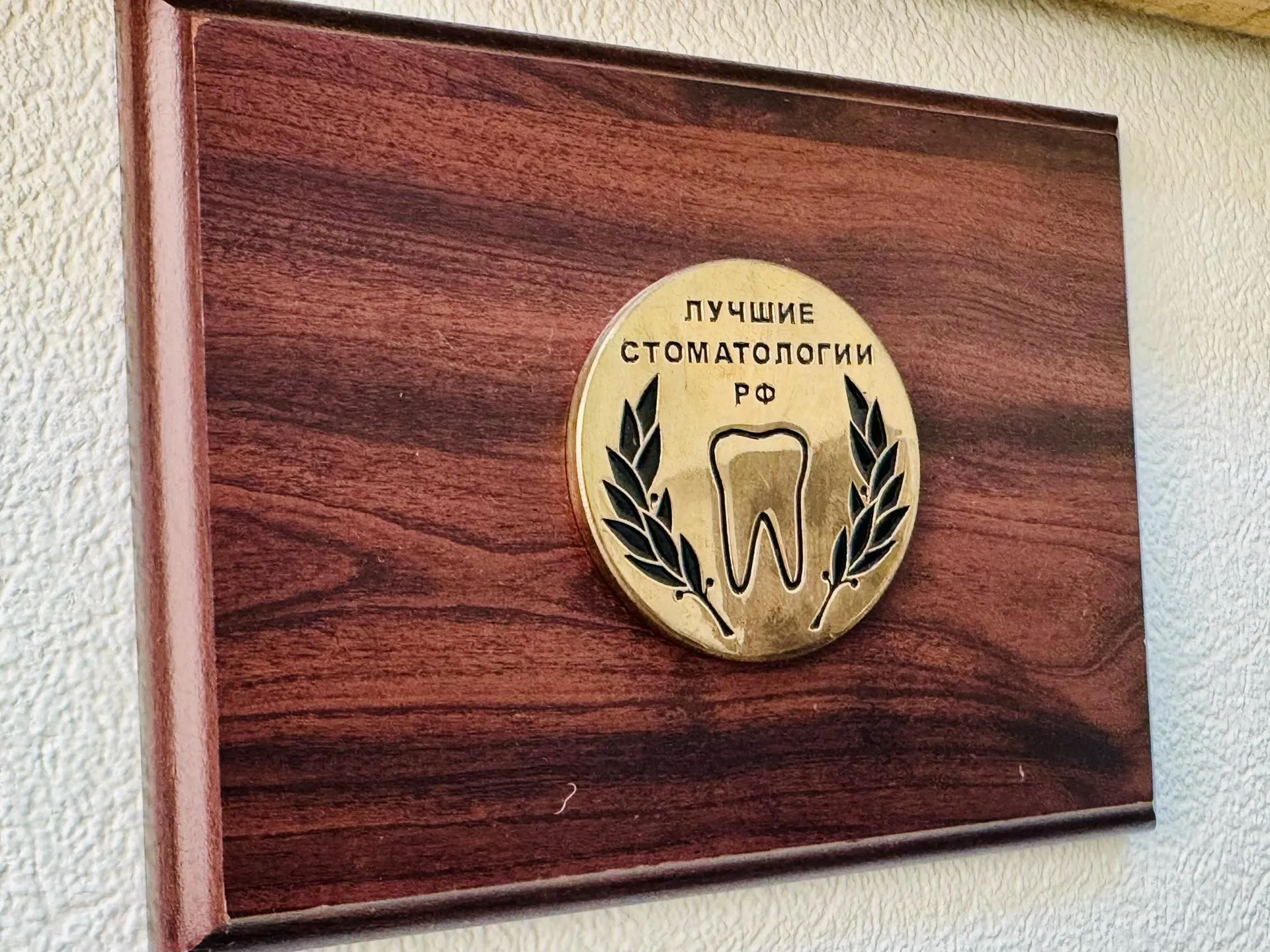 REGIONS/Татьяна Сташенко