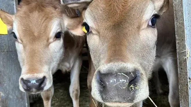 Министерство сельского хозяйства и продовольствия Московской области