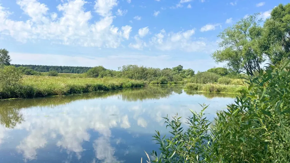 Фото: Медиабанк Подмосковья/Анастасия Сараева
