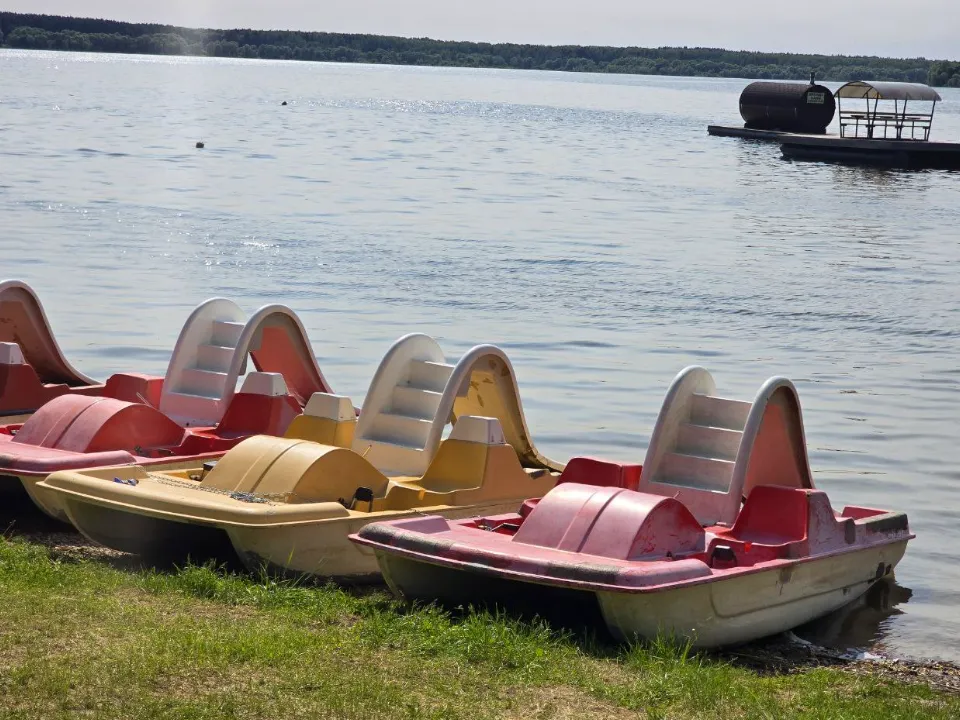 Фото: МедиаБанк Подмосковья/Яна Шаливская