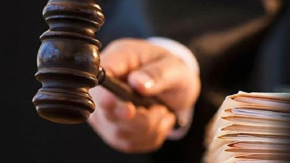 Фото: Министерство экологии и природопользования Московской области