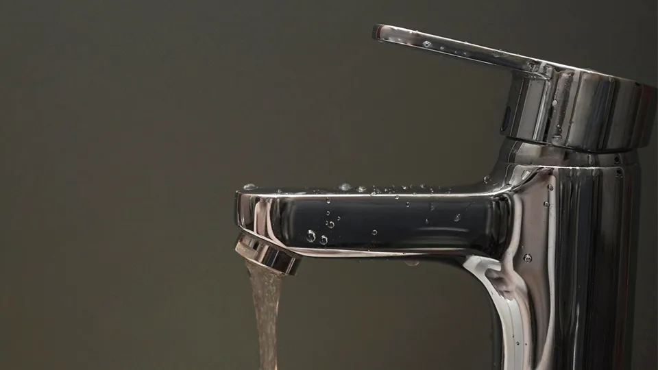 Фото: freepik.com |freepik