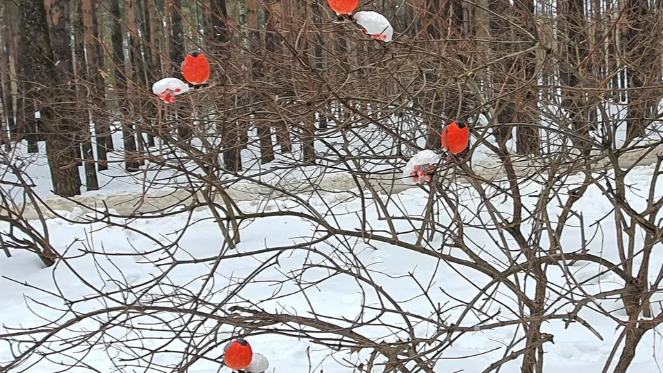 Фото: REGIONS/Наталия Надточая