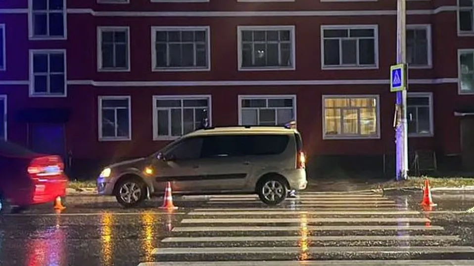 Фото: t.me/gumvd50