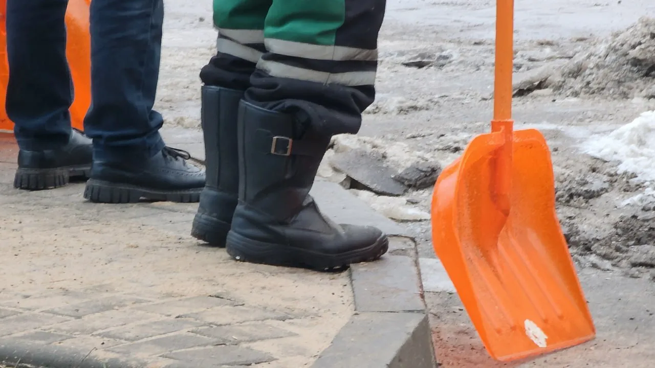 Фото: МедиаБанк Подмосковья/Арина Кузнецова