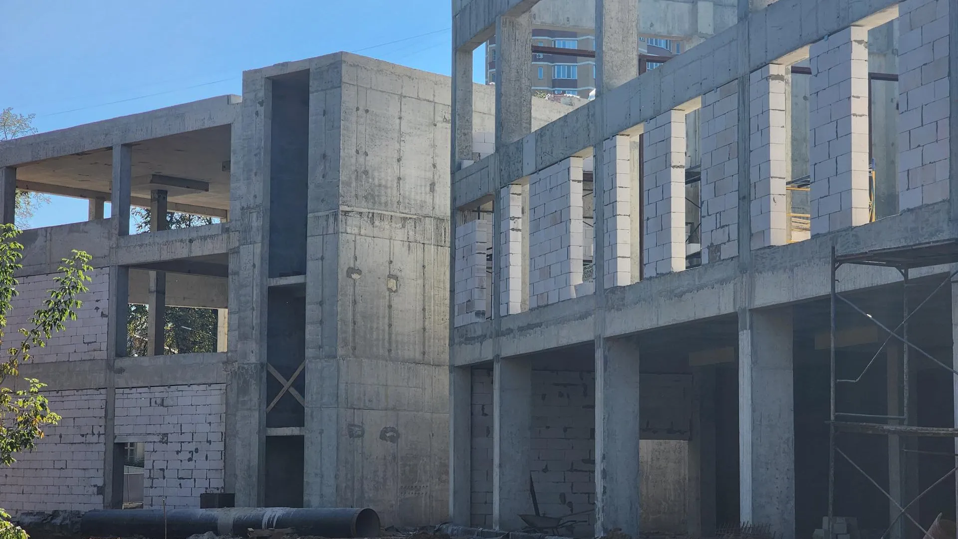 Фото: МедиаБанк Подмосковья/Мария Шигорева