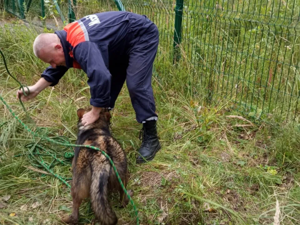 Фото: ГКУ МО «Мособлпожспас»