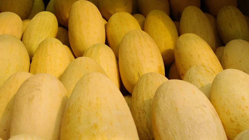 Фото: медиасток.рф/Медиаархив Подмосковья