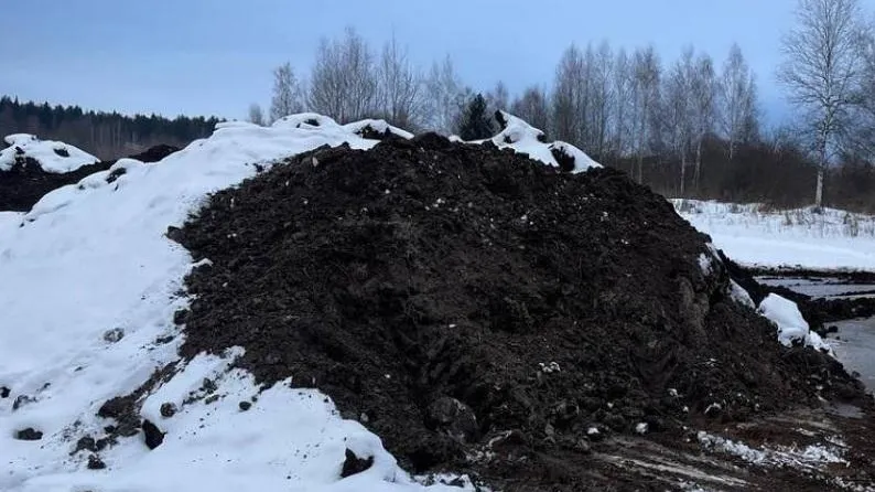 Фото: Минэкологии МО