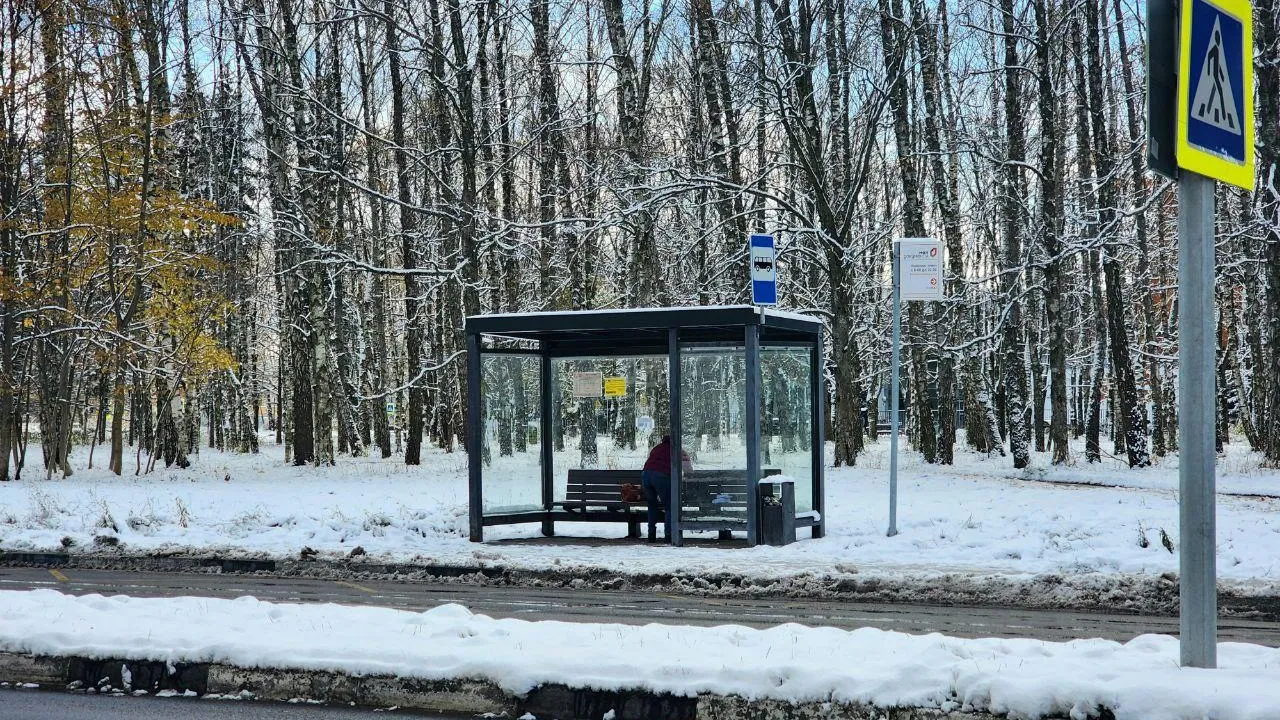 Фото: Мария Панина