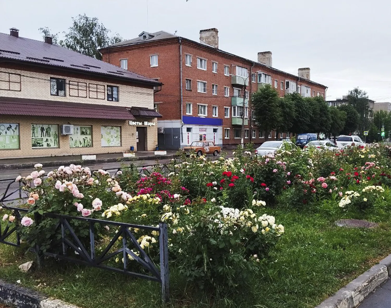 Фото: Алексей Мартюшев