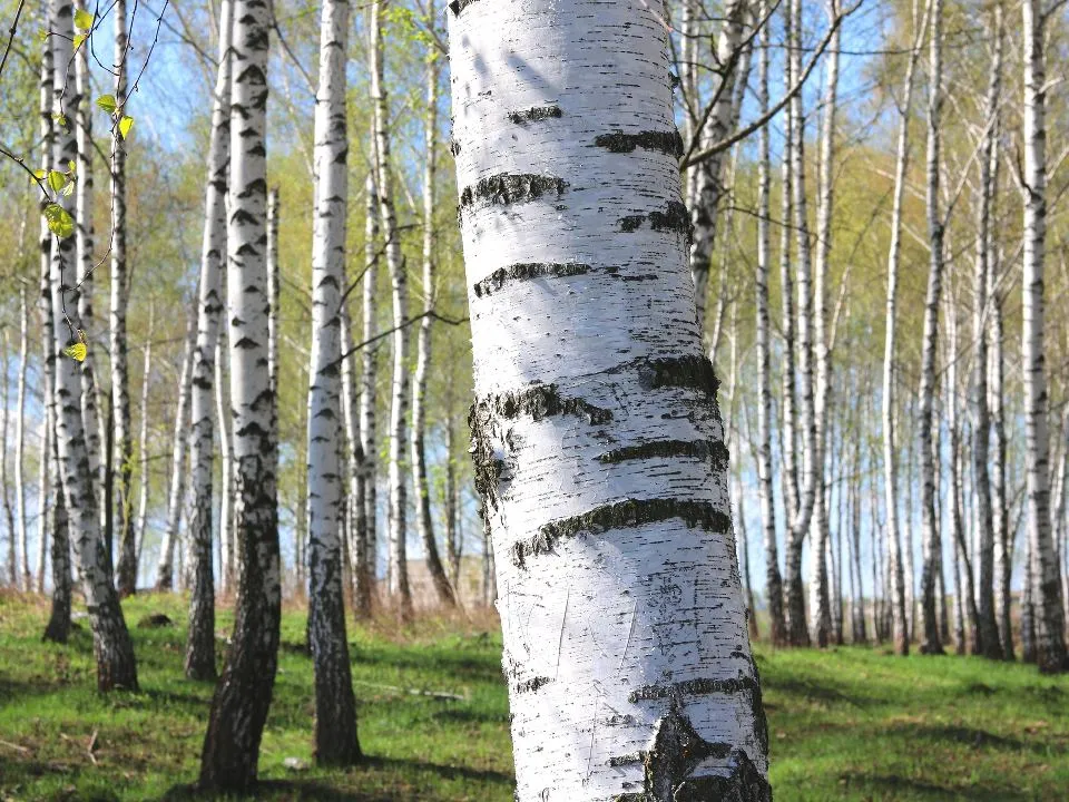 Фото: istockphoto.com