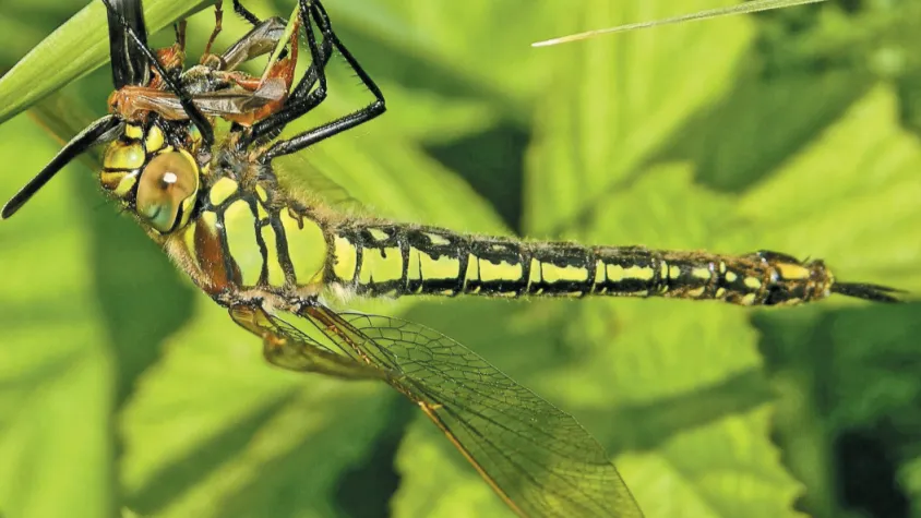Фото: фонд «Верховье»
