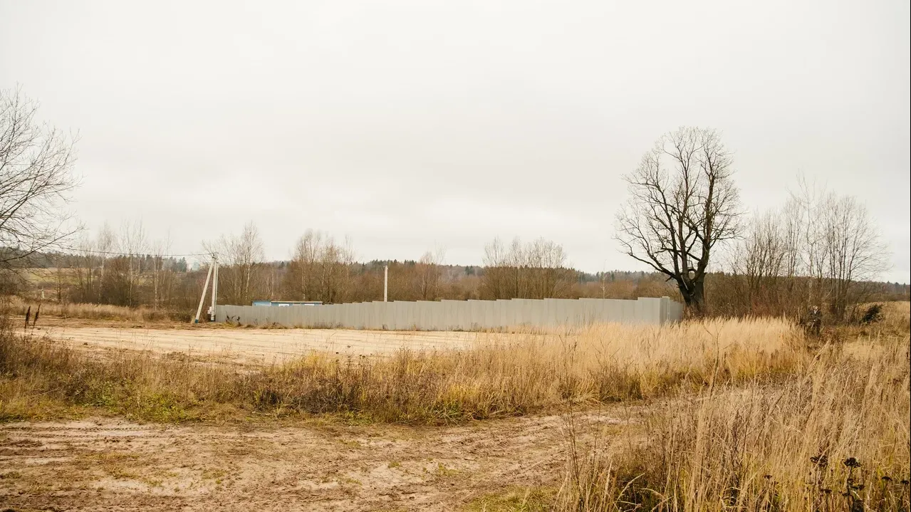 Фото: Пресс-служба Администрации г.о. Пушкинский