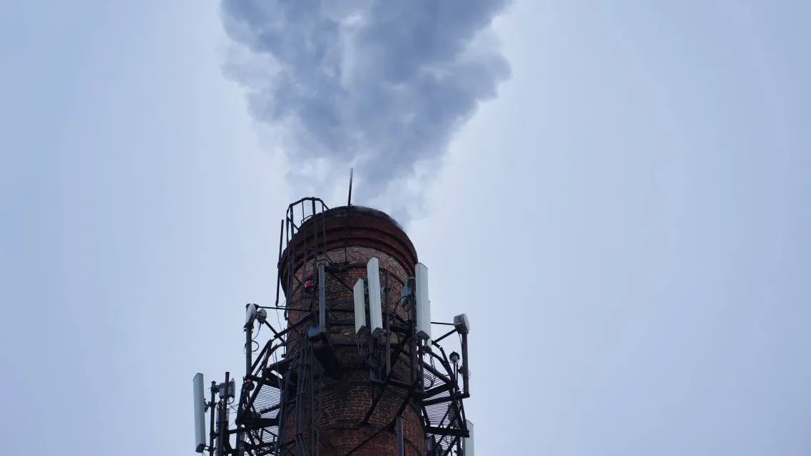 Фото: пресс-служба администрации Сергиево-Посадского г.о.