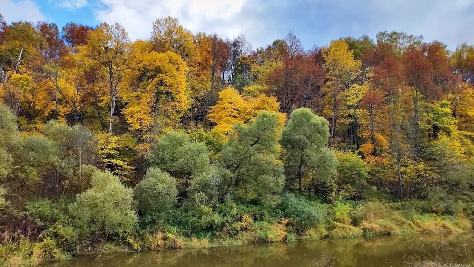 Фото: REGIONS/Алексей Селиверстов